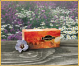 Gano Excel Mocha - a heavenly smooth blend - coffee, cocoa and ganoderma - sit back and smile